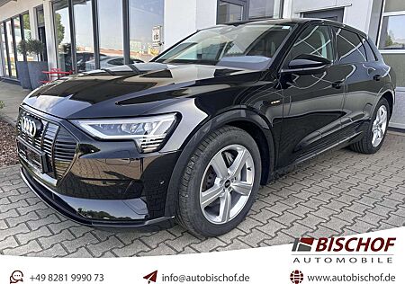 Audi e-tron 55 qu. advanced Black ACC HuD Kamera Tour