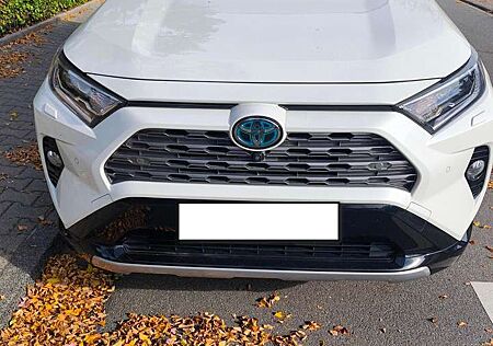Toyota RAV 4 2.5 4x4 Hybrid Style Selection