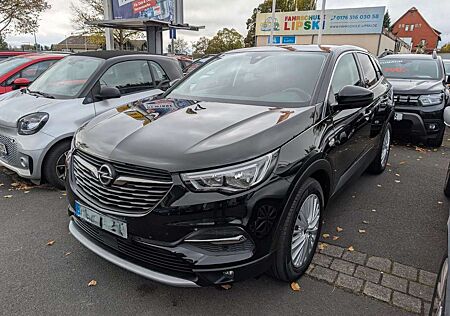 Opel Grandland X 1.2 Turbo, Business Ed. (5)