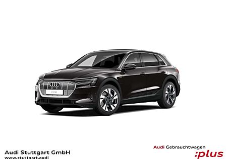Audi e-tron 50 quattro Matrix virtCo Kamera Parklenk