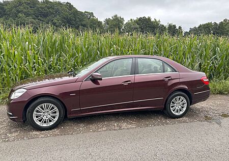 Mercedes-Benz E 250 CDI DPF BlueEFFICIENCY Automatik Elegance