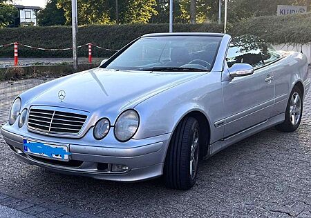 Mercedes-Benz CLK 230 gebraucht kaufen Mercedes-Benz CLK 230 CLK-Klasse Cabrio Kompressor Elegance