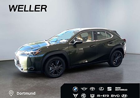Lexus UX 300h Tech.Paket*dig CP*SHZ*Kamera*TWA*CarPlay*SmartKey*