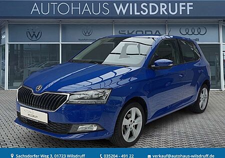 Skoda Fabia 1.0 Cool Plus SHZ PDC 8-Fach
