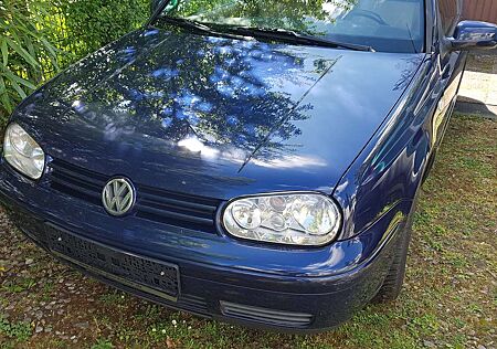 VW Golf Cabriolet Volkswagen Golf Cabrio (GLI)