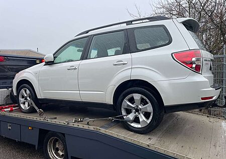 Subaru Forester Diesel 2.0D MOTORSCHADEN