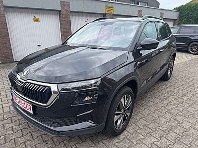 Skoda Karoq Tour 4x4-LED-Navi-Kamera-Virt. Cockpit