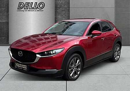 Mazda CX-30 Selection 2WD PDC+Kamera Navi BOSE Sitzh. Allwette
