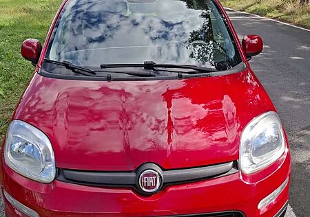 Fiat Panda 0.9 Twinair Start&Stopp Dualogic Lounge
