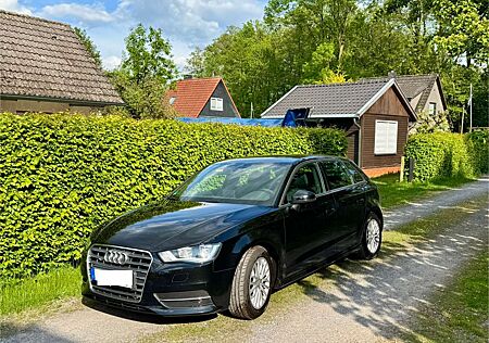 Audi A3 attraction