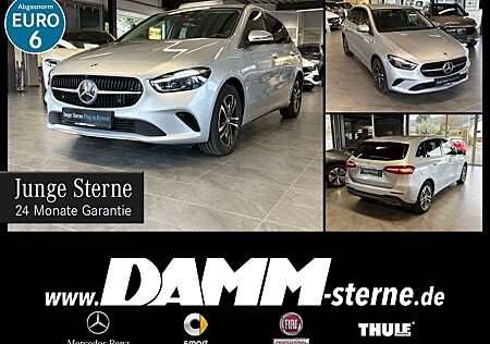 Mercedes-Benz B 250 e Progr. Adv./AHK/FAP/Distronic/Winter-P.