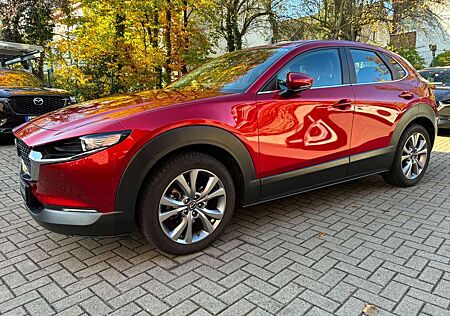 Mazda CX-30 SKYACTIV-G 122 AT SELECTION Leder AHK