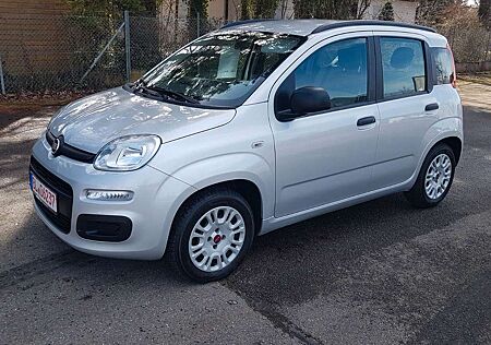 Fiat New Panda 1.2 8V