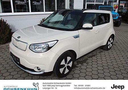 Kia Soul EV Play Navi, Winterr.