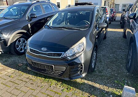 Kia Rio 1.2 i 5-türig