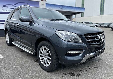 Mercedes-Benz ML 350 CDI BlueTec AHK Headup