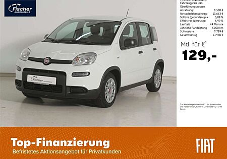 Fiat Panda 1.0 GSE