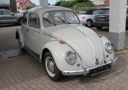 VW Käfer Volkswagen