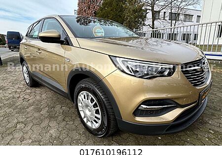 Opel Grandland X Selection Erst 22600km!!!