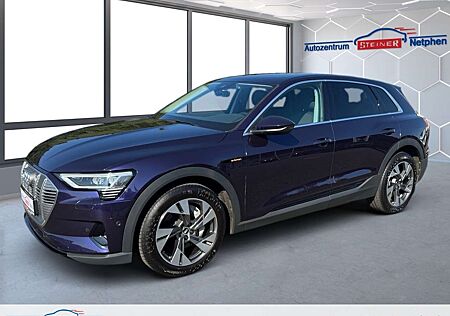 Audi e-tron e Basis quattro 1 Gang Automatik Navi