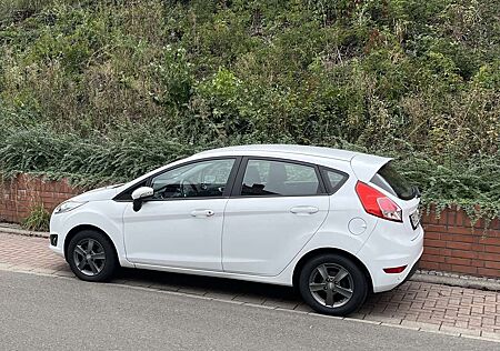 Ford Fiesta Celebration