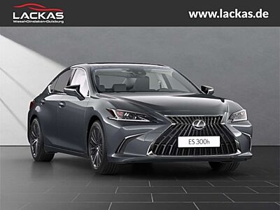 Lexus ES 300 Busniess Uber Paket