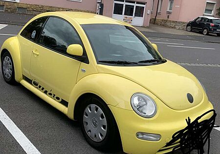 VW New Beetle Volkswagen