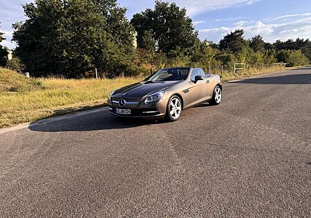 Mercedes-Benz SLK 200 BlueEfficiency (172.448)