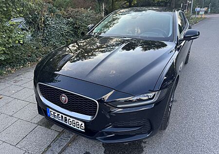 Jaguar XE P250 Aut. R-Dynamic SE