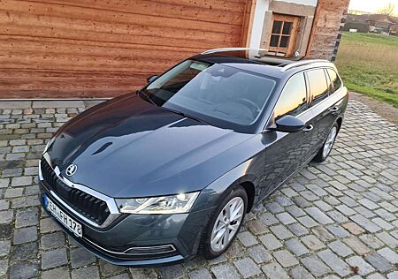 Skoda Octavia Style Navi Pano SHZ v+h Kamera ACC