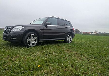 Mercedes-Benz GLK 220 CDI DPF 4Matic BlueEFFICIENCY 7G-TRONIC