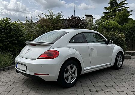 VW Beetle Volkswagen 1.4 TSI Design *reinschauen lohnt sich*
