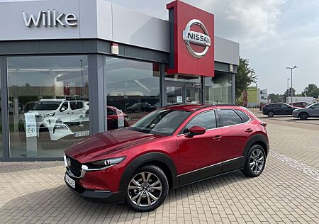 Mazda CX-30 2.0 Hyb.Excl-Line AWD/COMB/DASO/DESI