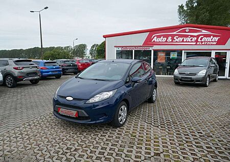 Ford Fiesta 1,25 44kW GANZJAHRESREIFEN