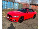 Ford Mustang Cabrio 5.0 Ti-VCT V8 Black Shadow Edition