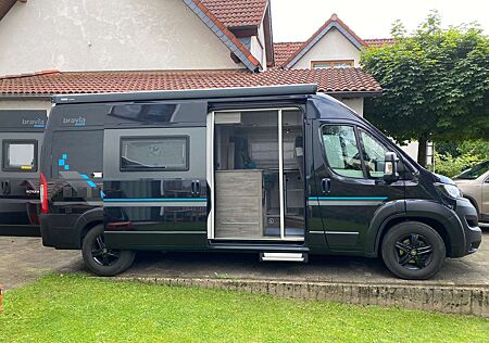 Peugeot Camper Bravia Swan 599