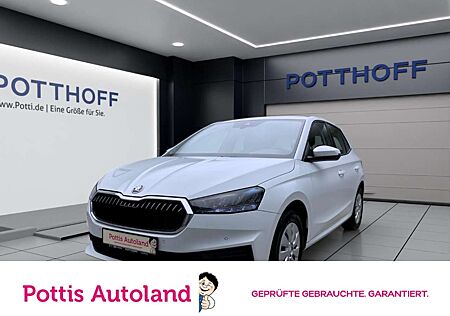 Skoda Fabia 1.0 TSI DSG AMBITION NAVI SITZHZG PDC LED