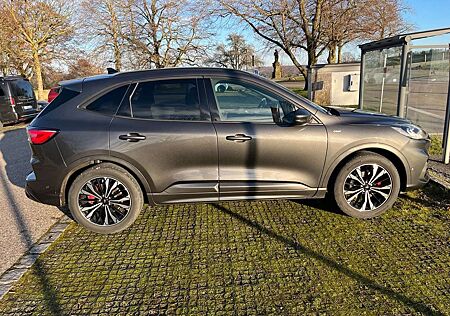 Ford Kuga 2.0 EcoBlue 4x4 Aut. ST-LINE