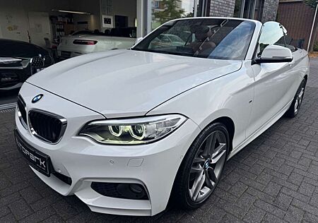 BMW 220 i Cabrio M Sport Kamera h&k Xenon 18"
