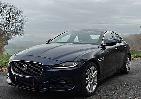 Jaguar XE SE