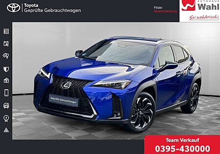 Lexus Others