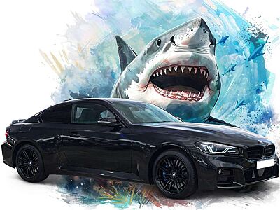 BMW M2 2er Coupe Aut.