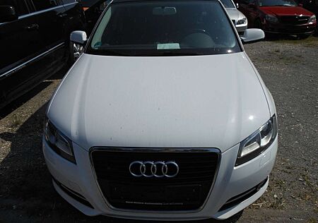 Audi A3 1.6 TDI Ambition PANOROMA