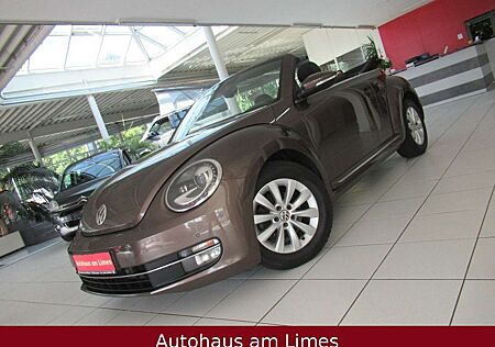 VW Beetle Volkswagen Cabriolet Leder Xenon PDC *aus 1.-Hand*