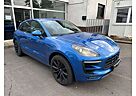 Porsche Macan GTS*Kamera*BOSE*