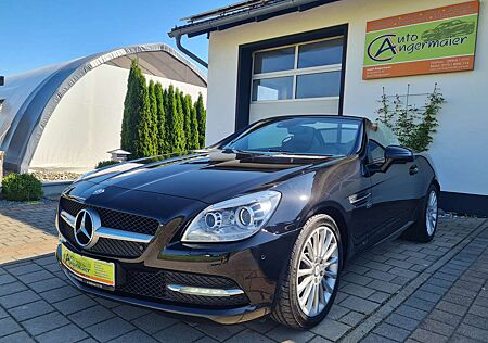 Mercedes-Benz SLK 250 BlueEfficiency (172.447)