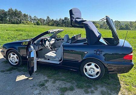 Mercedes-Benz CLK 200 CLK Cabrio Jahreswagenzustand - Liebhaberfahrzeug