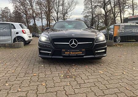 Mercedes-Benz SLK 250 SLK Roadster BlueEfficiency