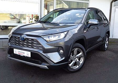 Toyota RAV 4 RAV4 Hybrid 2.5 4x4 Hybrid Team Deutschland