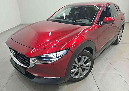 Mazda CX-30 2.5 Takumi Leder Bose, Matrix, Head-up, Log-in, 18